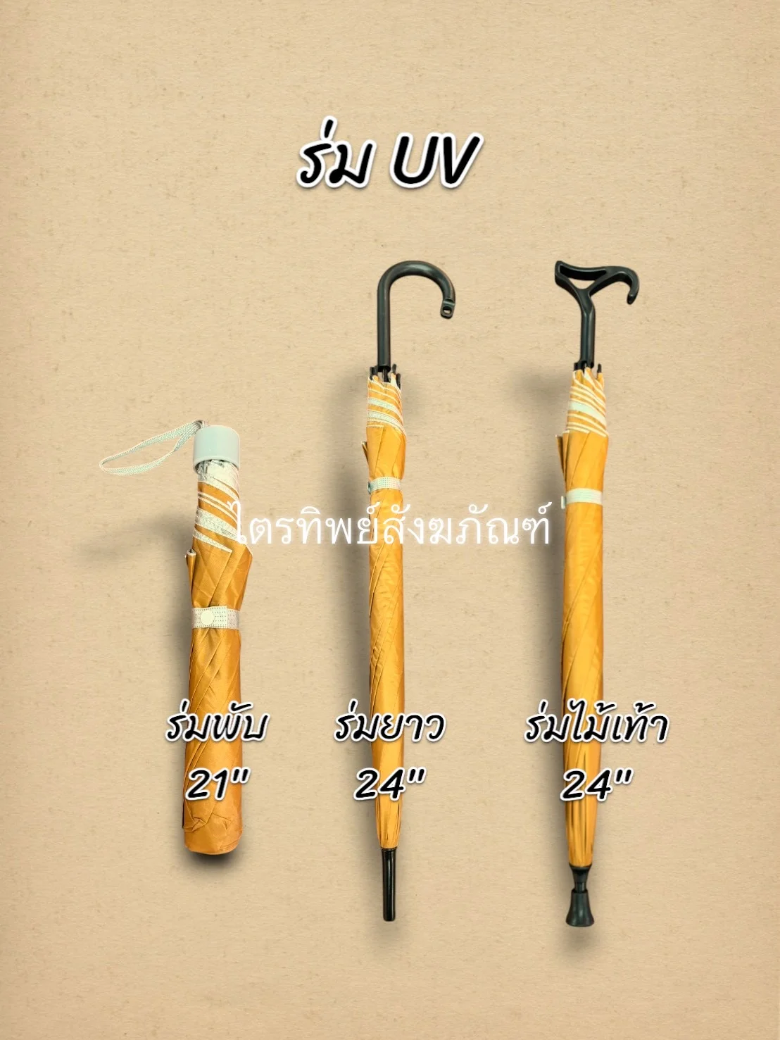 ร่มพับ/ร่มยาว