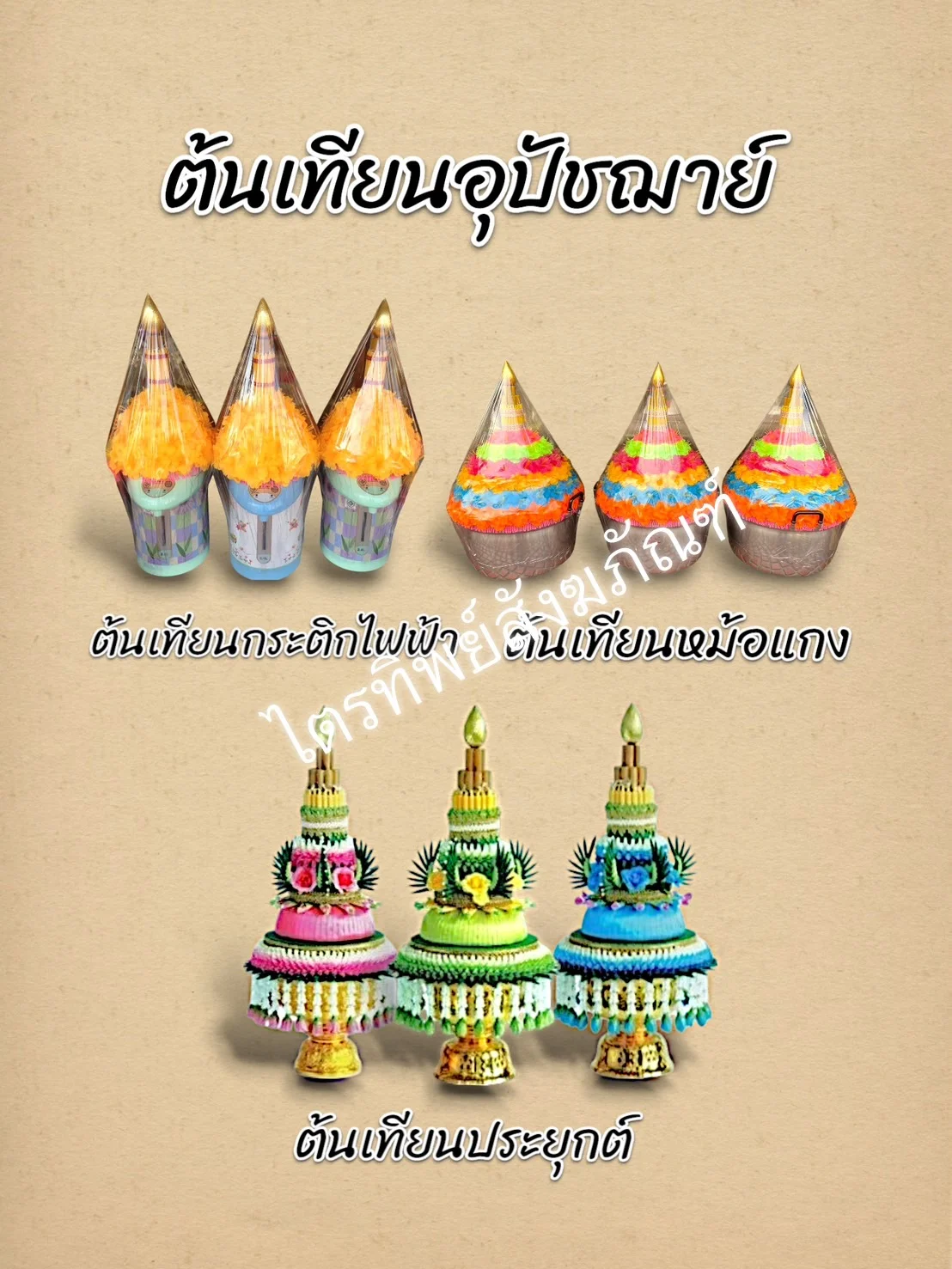 ต้นเทียนอุปัชฌาย์2