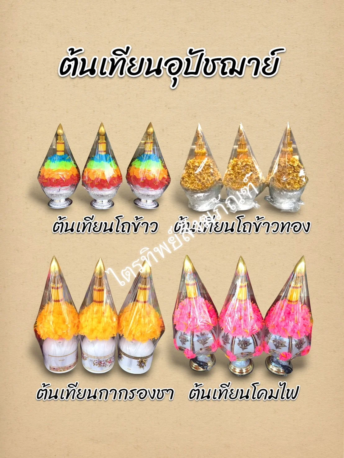 ต้นเทียนอุปัชฌาย์1