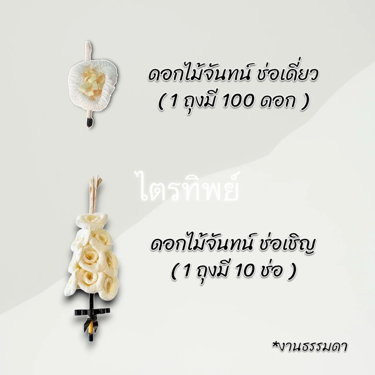 ดอกไม้จันทน์ ธรรมดา