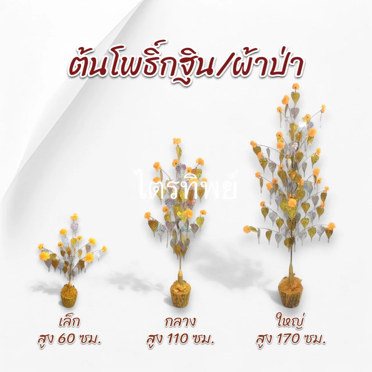 ต้นโพธิ์เสียบแบงค์