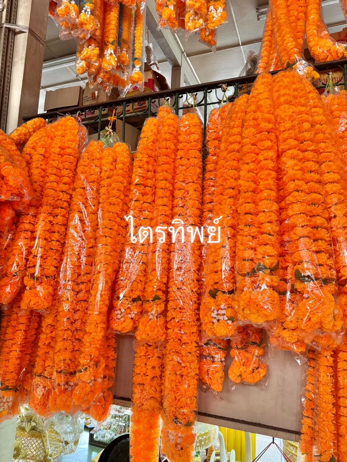 พวงมาลัยดาวเรือง