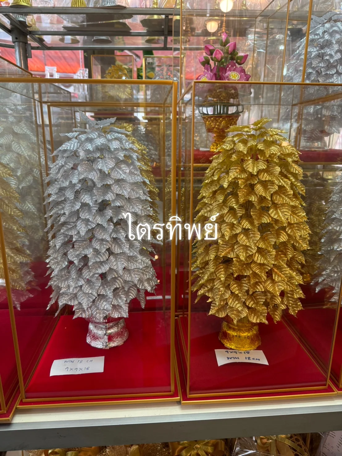 โพธิ์ผ้าเงิน-ทอง