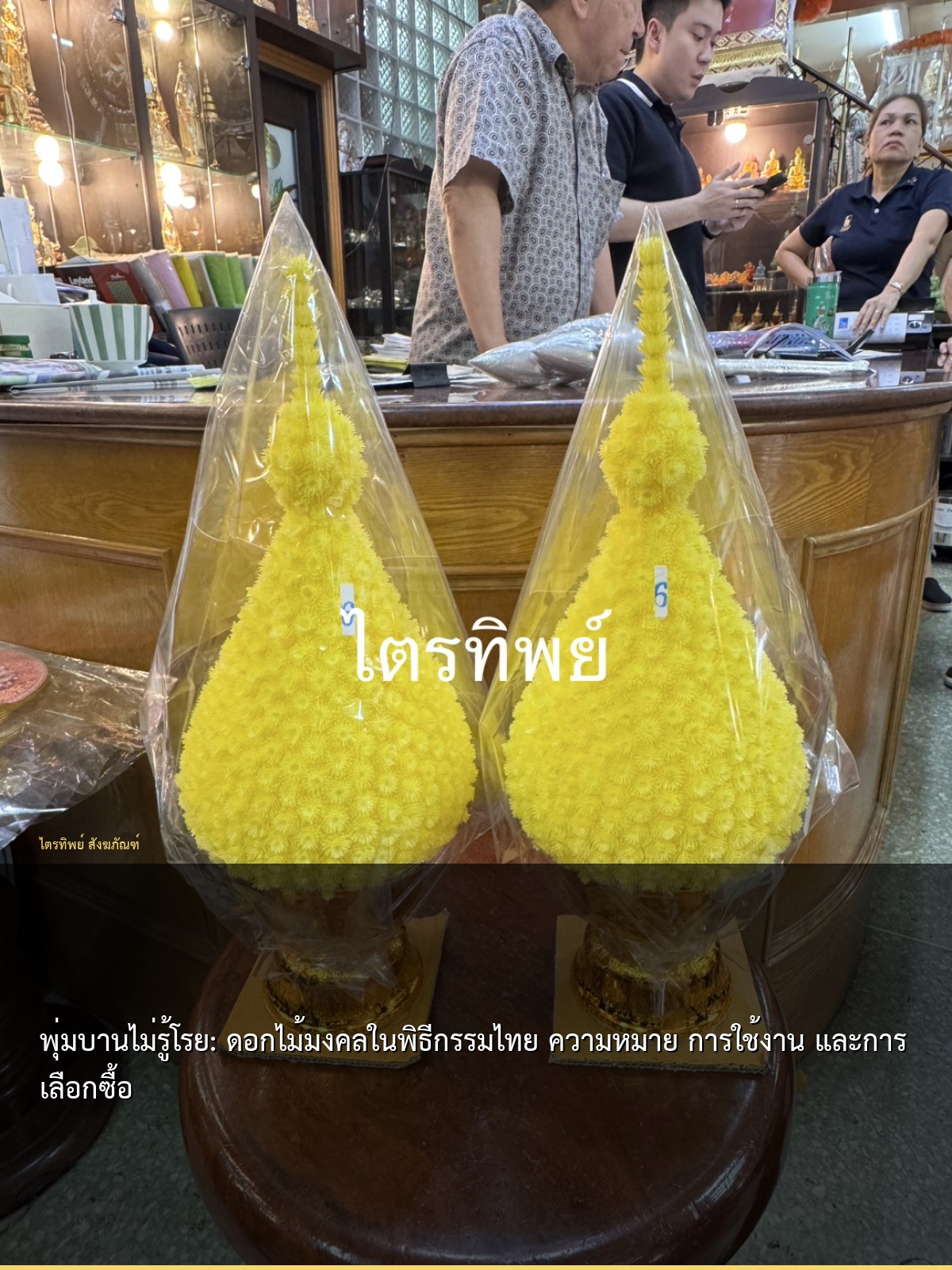 พุ่มบานไม่รู้โรย: ดอกไม้มงคลในพิธีกรรมไทย ความหมาย การใช้งาน และการเลือกซื้อ