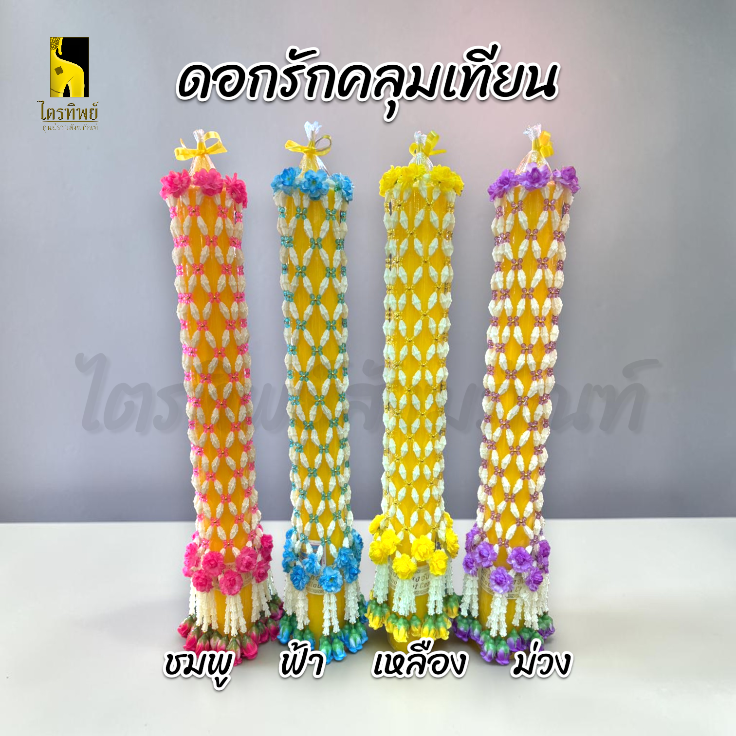 ดอกรักคลุมเทียน