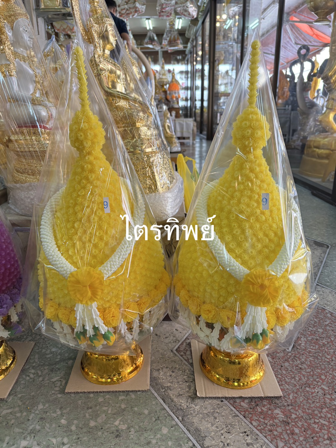 พุ่มบานไม่รู้โรย คล้องมาลัย สีเหลือง