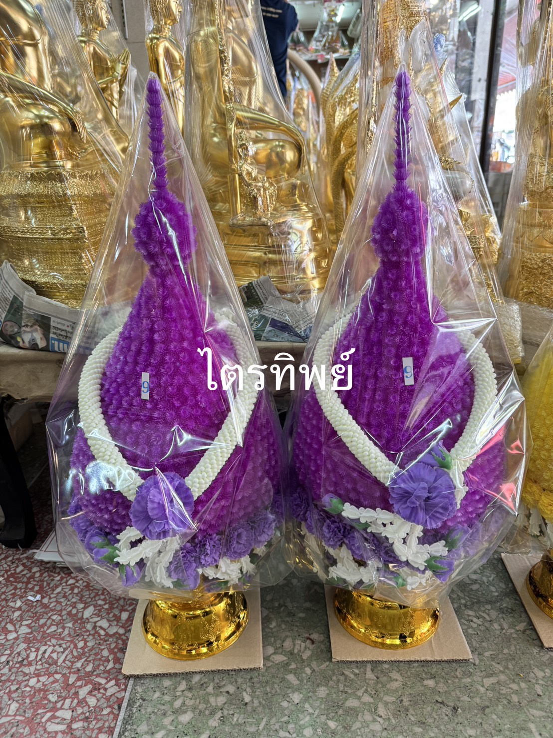 พุ่มบานไม่รู้โรย คล้องมาลัย สีม่วง