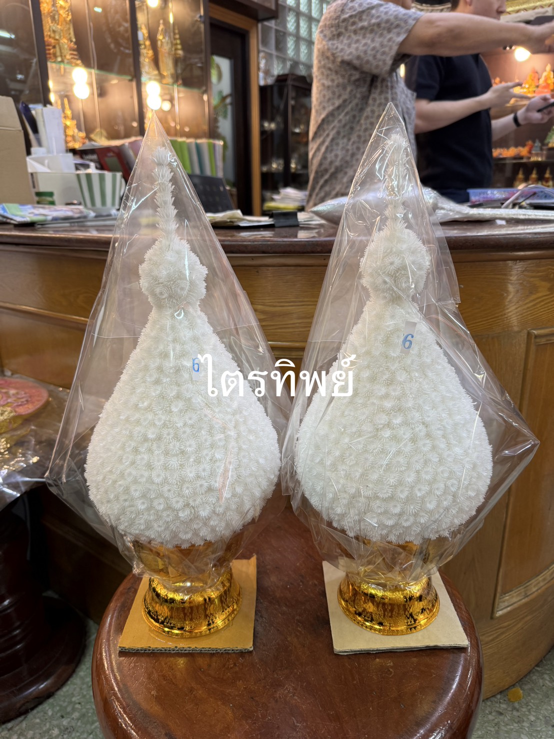 พุ่มบานไม่รู้โรย สีขาว