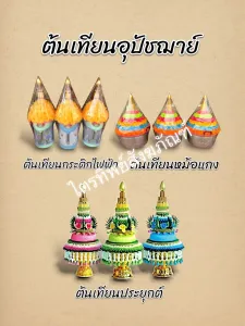 ต้นเทียนอุปัชฌาย์2