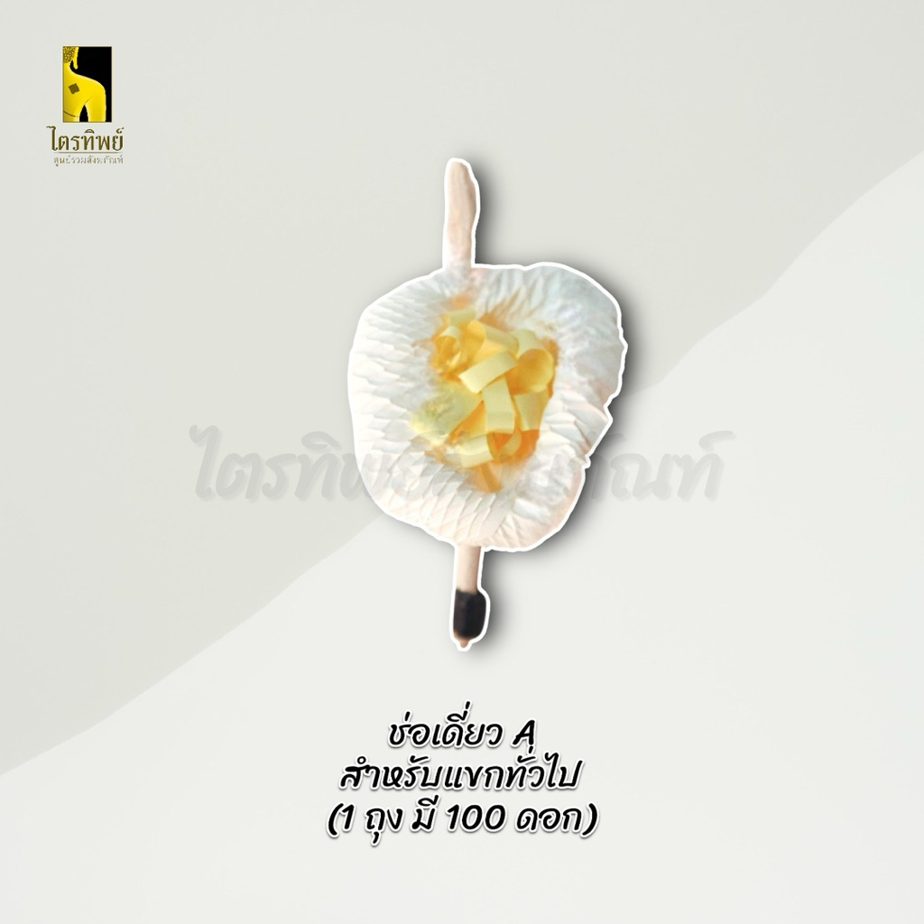 ดอกไม้จันทน์ ช่อเดี่ยว ช่อเชิญ สำหรับแขกทั่วไปและประธาน งานพิธีฌาปนกิจ 4