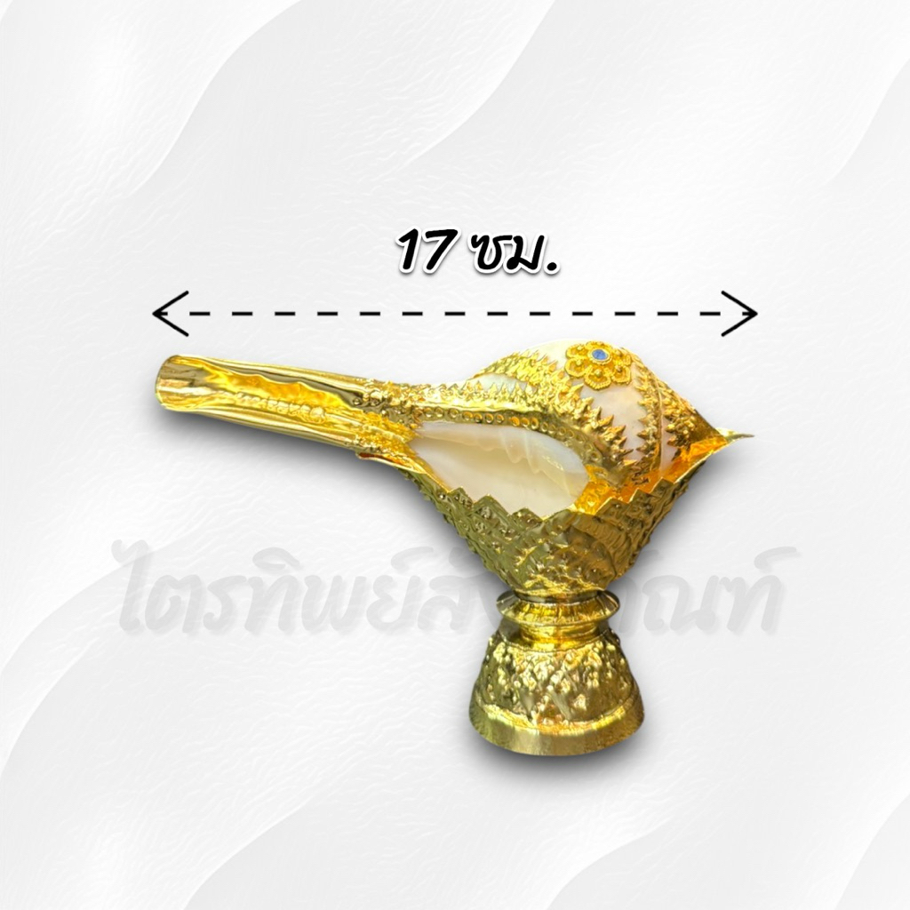 หอยรดน้ำสังข์ ชุบกะไหล่ทอง 2