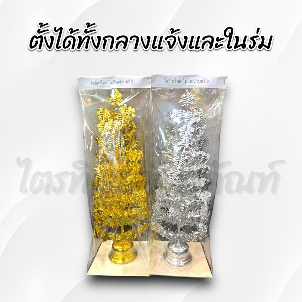 ต้นโพธิ์เงิน-ทอง 2