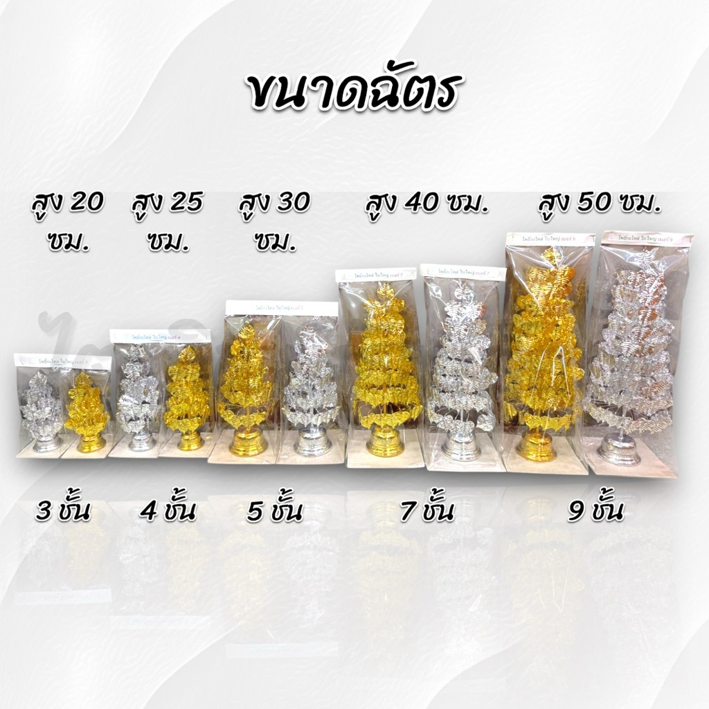 ต้นโพธิ์เงิน-ทอง 3