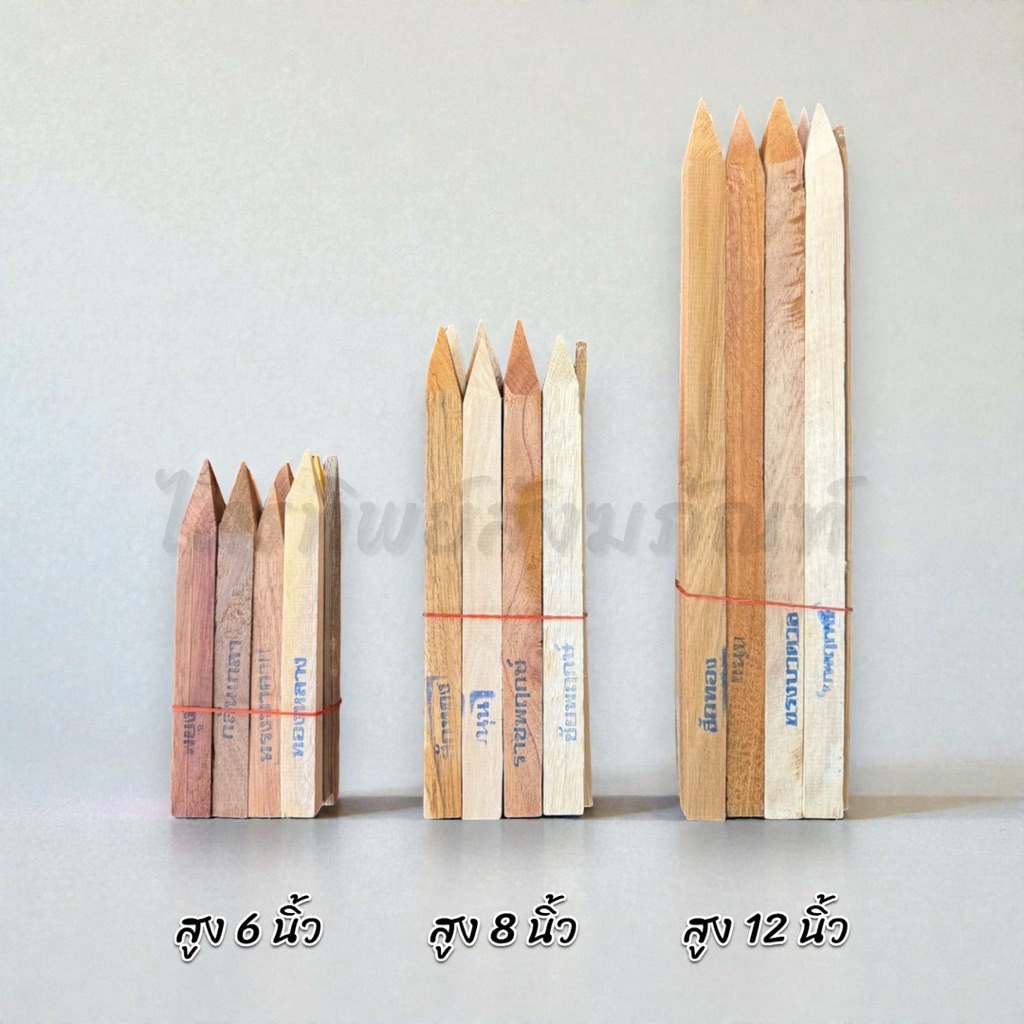 ไม้มงคล 9 ชนิด ขนาด 6/8/12 นิ้ว 2