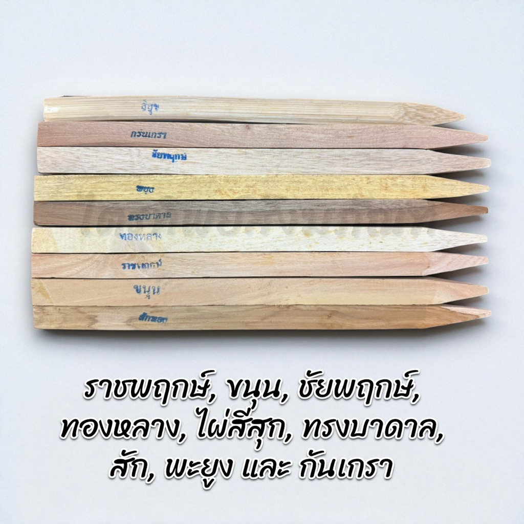 ไม้มงคล 9 ชนิด ขนาด 6/8/12 นิ้ว 3