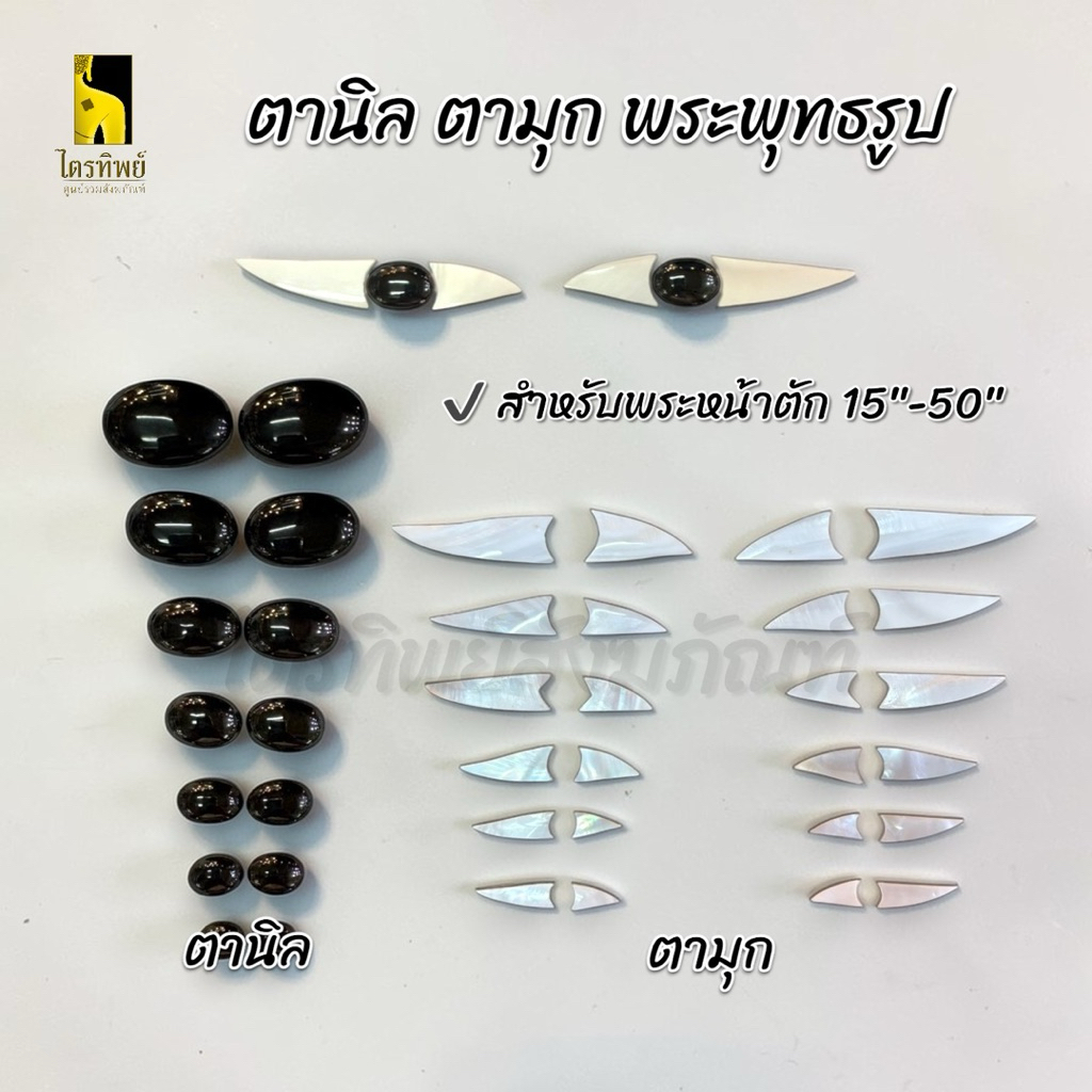 ตานิล ตามุก สำหรับพระพุทธรูป 15-50 นิ้ว