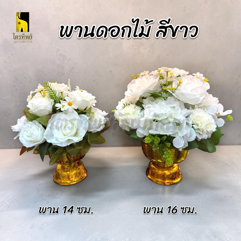 พานดอกกุหลาบ สีขาว 1
