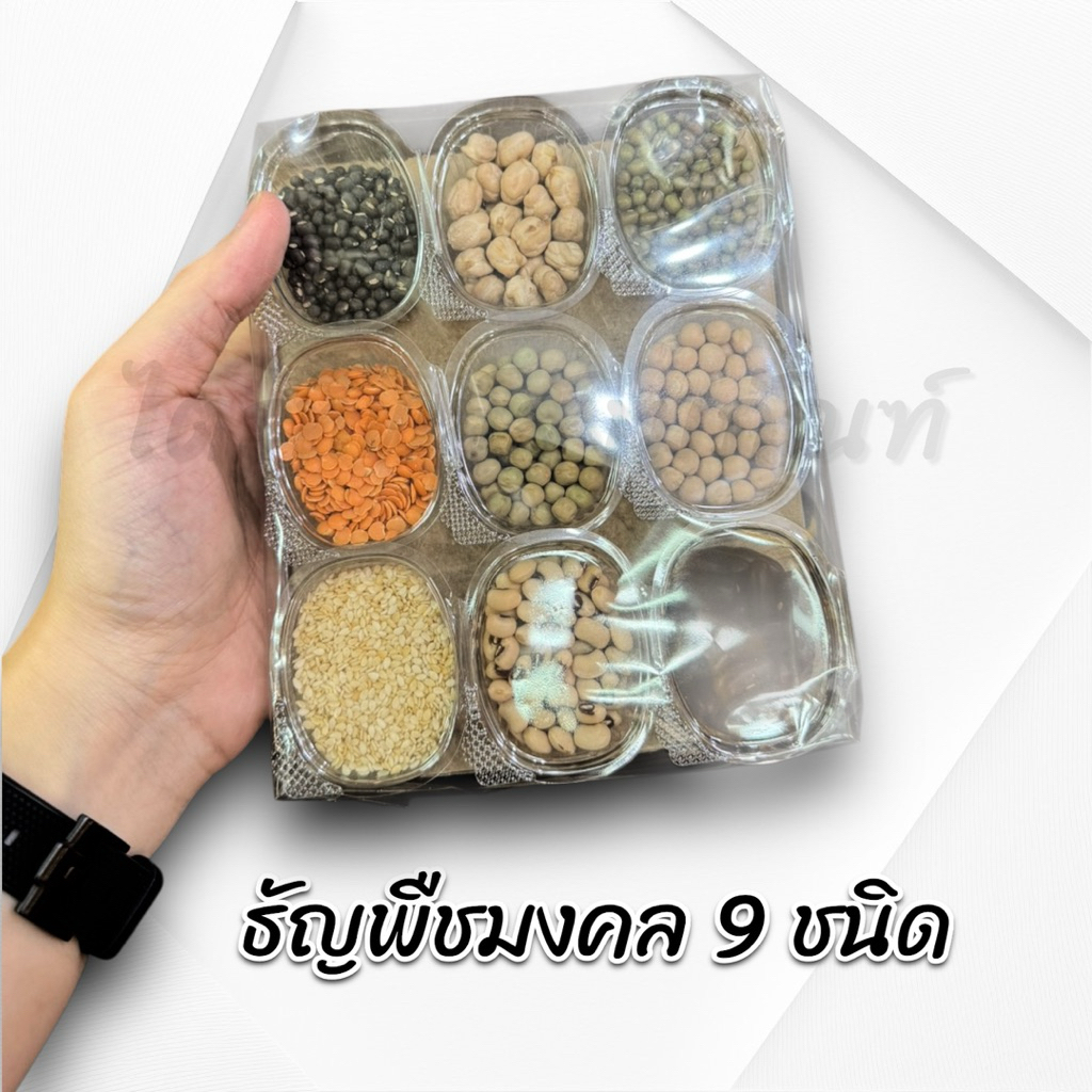 ธัญพืชมงคล 9 ชนิด 2