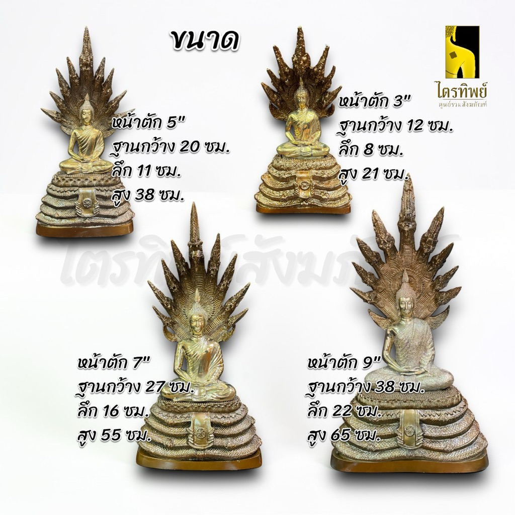 พระนาคปรก 9 เศียร 3/5/7/9 นิ้ว พิมพ์ฐานถอด 2